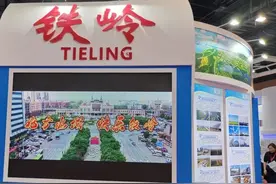 铁岭市“辽洽会”签约121.7亿！收获满满图片