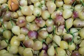 介绍家乡的五彩椒和泡制方法，还有一些地方美食图片