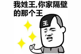 搞笑表情包：我姓王，你家隔壁的那个王图片