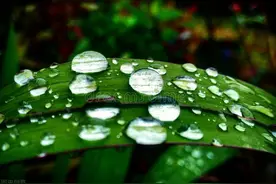 农历5月18的降雨为何被称为洗街雨？三句老话，可解释清楚图片