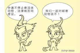 快递邮寄活体动物 中通被告上法庭图片