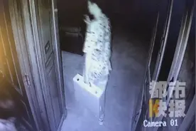 14岁外甥偷拿7瓶酒出去卖，舅舅傻眼：23年的飞天茅台卖了“白菜价”图片