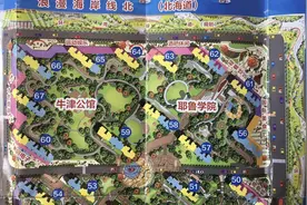 融创维多利亚湾被指虚假宣传，承诺的绿地缩水变车位，融创：是前任万达干的图片