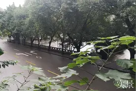 《沉默的真相》就在这里！实地回访“案发现场”图片