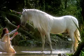 世界上“最豪横的动物”，牙齿比黄金还贵，据说一颗能抵一座城图片