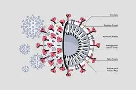 最危险的突变株拉姆达出现？传染性和免疫抵抗力同时增强图片
