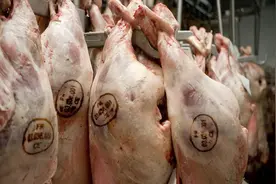 猪肉上的“红章”和“蓝章”，有啥分别？是否能吃？建议看完再买图片