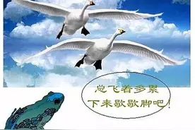 蛤蟆从没想吃天鹅肉图片