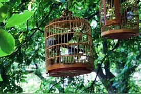 小长假不出远门也能动起来，主城9座山的隐藏玩法都给你找好了图片