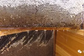 “甜蜜”的烦恼，1000多公斤蜂蜜滞销，鹰潭一蜂农盼销路图片