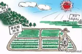 买了宅基地，卖地人不让盖房！司法调解后，卖地人返还转让款并赔偿图片