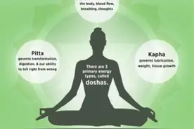 汤汤的疗愈小课堂（8）：七种体质能量测试图片