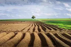 村主任私下与个人签订承包合同有效吗？北京律师给你解答图片