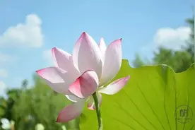 慎之又慎，则无灾无难图片