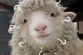 LOL中加成最高的技能有哪些？图片