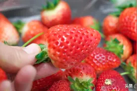 远离“激素”草莓，5步辨别要牢记，看完记得告诉您的家人和朋友图片