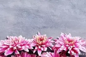爱你入骨的人，一生遇到一个足矣图片