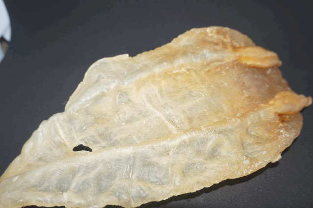 花胶有黑色的虫 2026年花胶有黑色的虫子能吃吗