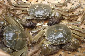 保存螃蟹时，不要放冰箱，学会这一招方法，放7天仍是鲜活的图片