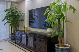​建议每个爱花人：无论房子大小，客厅都要摆些花卉，好看有寓意图片