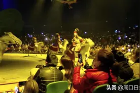 周口野生动物世界火爆中原图片