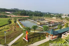 博罗杨村：上下“一盘棋“，擦亮乡村振兴的“美丽底色”图片