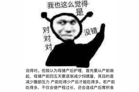 啥歪瓜裂枣都叫元宇宙图片