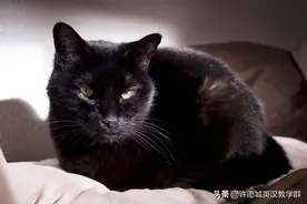 知道kn 的意思，你就轻松记得一串英语单词图片