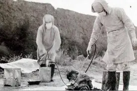 731部队溃逃前最后的疯狂：毒杀俘虏、炸毁大楼，场面残忍又混乱图片