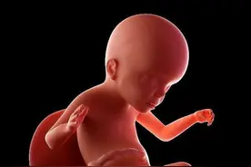 孕期做四维彩超，看懂检查单上几项数据，胎宝就没有小秘密了图片