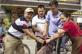 这条龙胆石斑重158斤！琼海一酒店老板花15000多元买下图片