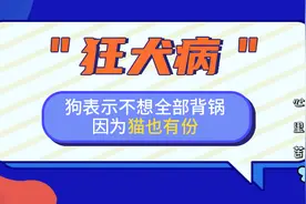 狂犬病：狗表示不想全部背锅，因为猫也有份图片
