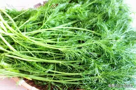 这3种菜本身就含盐，炒菜需要少放盐，以后别再弄错了图片