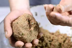 分享几款夏天自制饵料配方，材料便宜制作简单，大鱼尤其喜欢图片