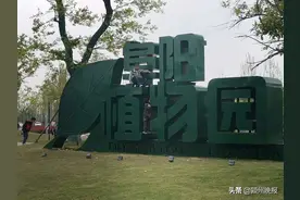 这两天，阜阳植物园很“受伤”图片