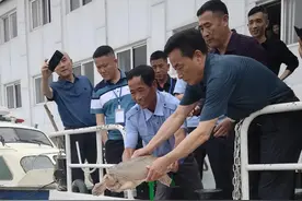 20岁龄、16斤重野生中华鳖放归鄱阳湖图片