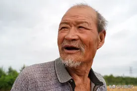 河南大爷麦收“高级饭”极简，满锅没有一片肉，吃得却很暖心图片