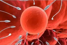 血精：除了纵欲过度，还有哪些原因？图片