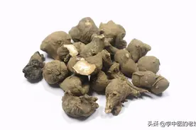 每日一中药——川乌图片