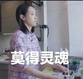 养生壶怎么做花胶 2026年养生壶怎么做花胶视频