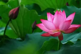 人过五十：最重要的就是开开心心，健健康康图片