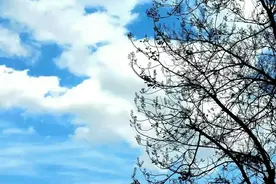 要是原民办代课教师每月补助按照各地最低月工资标准发放就好了！图片