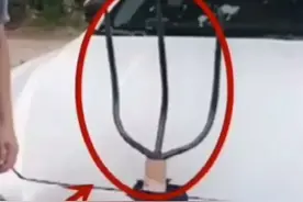 ＂海神戟＂被当成＂粪叉子＂：玛莎拉蒂被掰掉的标志到底有多冤？图片