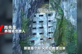 大山夹缝中藏违规民宿？实为废弃娃娃鱼养殖场 建设时经过审批图片