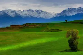 来新疆上学的准大学生们，必须要知道的几点图片