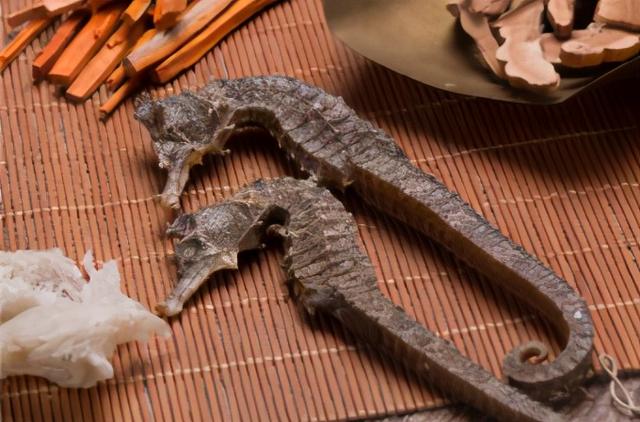 老人饮花胶汤的好处 2026年老人饮花胶汤的好处与功效