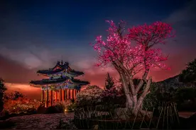 卜算子·咏梅图片