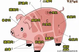 猪各部位肉的名称图片及料理方式图片