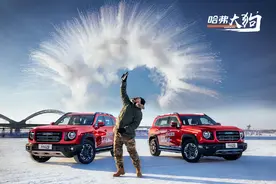 什么动物最不怕冷？狗！-30℃冰雪上遛中华田园犬什么感受？图片