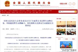 竹鼠还能养能吃吗？林业局发布紧急通知：全面清理排查图片